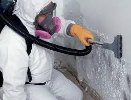 Trusted Dewitt, MI Mold Inspection Experts